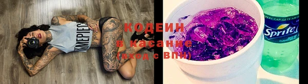 соль ск Лагань