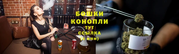 ПСИЛОЦИБИНОВЫЕ ГРИБЫ Аркадак