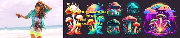 ПСИЛОЦИБИНОВЫЕ ГРИБЫ Аркадак