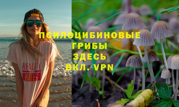 мескалин Балахна