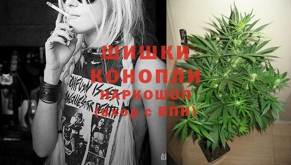 ПСИЛОЦИБИНОВЫЕ ГРИБЫ Аркадак